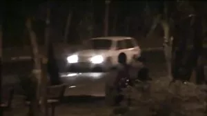 Percuma pepek bogel Tiub Kartun